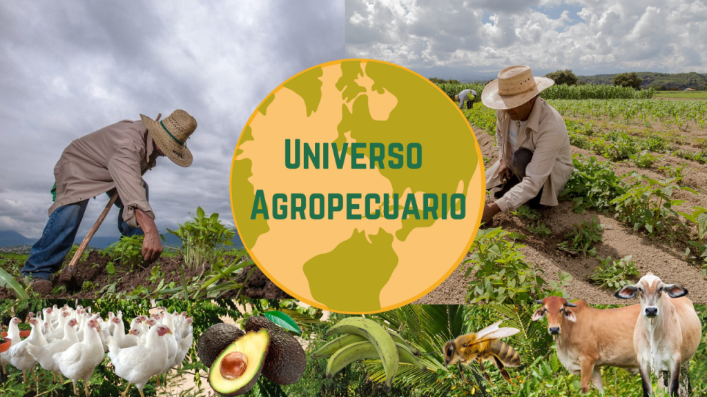 Universo Agropecuario presente desde el Campo&nbsp;Dominicano